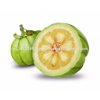 Weight losing Garcinia Cambogia Extract 50%,60%,70% Garcinia Cambogia extract HCA Cas:90045-23-1