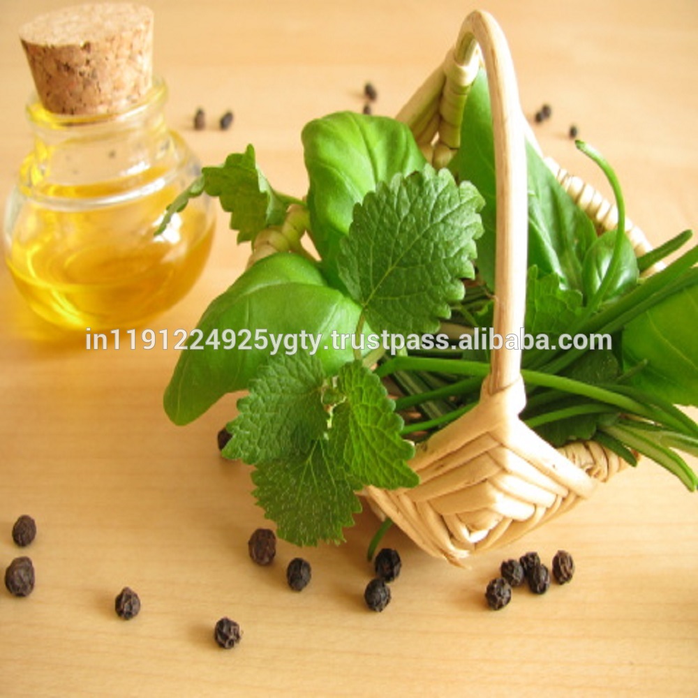 Basil Oil Bulk Wholesale Natural Essential Oil