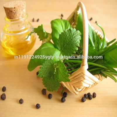 Basil Oil Bulk Wholesale Natural Essential Oil