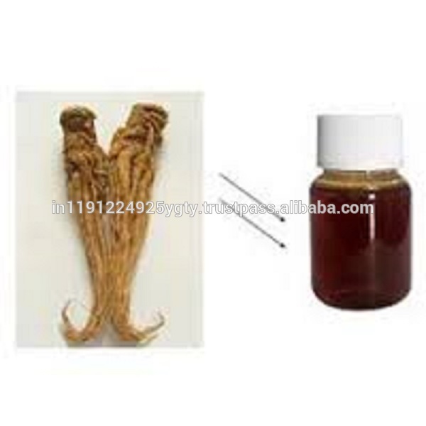 100% Pure Angelica Root Essential Oil From Herbs Village