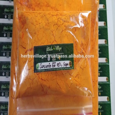 High Quality Natural Tumeric Root Extract Powder/ Turmeric Curcumin 95% Extract Powder