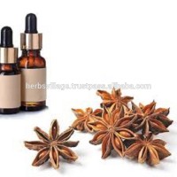 Aniseed Oil Bulk Wholesale Natural Essential Oil From Herbs Village