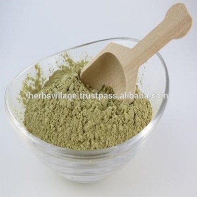 GMP ISO certified manufacturer Aloe Vera Extract Powder 100x