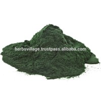 100% Natural Certified Organic Spirulina Extract Powder