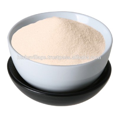 High Quality Aloe Vera Extract Powder 200x